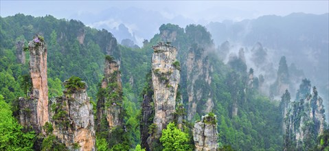 Famous tourist attraction of China, Zhangjiajie stone pillars cliff mountains in fog clouds at