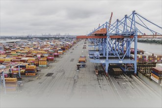 Altenwerder container terminal in Hamburg, 26/07/2024. /