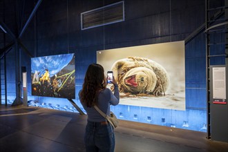 Plante Ozean exhibition in the Gasometer in Oberhausen, the world's oceans in their fragile beauty