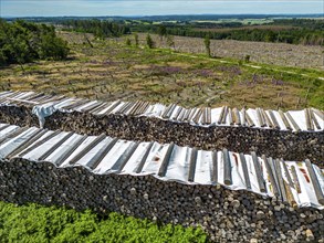 Large tree stacks, Cleared forest in the Eggegebirge, near Lichtenau, Paderborn district, site of a