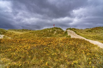 North Sea island of Spiekeroog, East Frisia, Lower Saxony, Germany, Dune crossing on the west