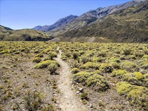 Hiking trail 'Aviles loop', Park Patagonia, east of Cochrane on road to argentinian border at Paso