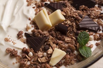 Yogurt with chocolate muesli, breakfast, close-up, fork on top, no people