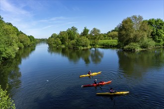 Water sports on the Ruhr in Essen-Steele, kayaking, Essen, North Rhine-Westphalia, Germany, Europe