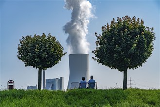 Rhine dyke near Orsory, ball trees, park bench, Walsum coal-fired power station, cooling tower,