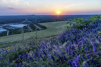 View from the Hoheward spoil tip, at sunset, to the west, Ewald mine, UNIPER Scholven combined heat