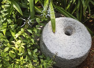 Decorative gray millstone in a botanical garden