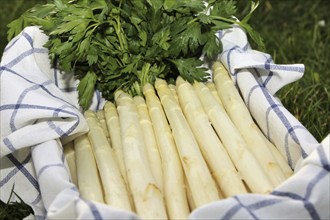 White asparagus decorated in a wooden crate