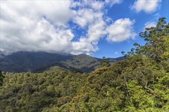 Mountains with jungle and cloudy sky. Malaysia