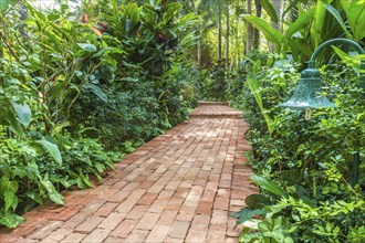 Red brick path in a tropical garden