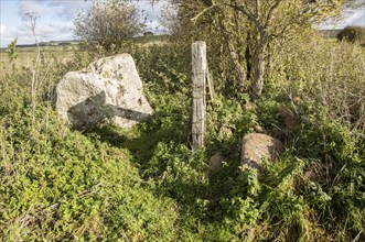 Falkner's Circle remains of prehistoric stone circle, near Avebury, Wiltshire, England, UK