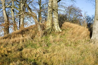 Neolithic long barrow in chalk downland countryside near East Kennett, Wiltshire, England, UK