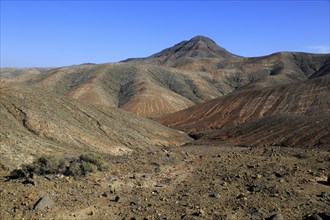 Bare moon-like arid landscape in mountains between Pajara and La Pared, Fuerteventura, Canary