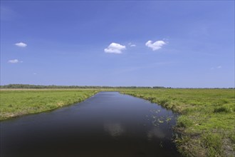 Uj? cie Warty National Park, Warta River-Mouth National Park, Lubusz Voivodeship, Lubusz Province,