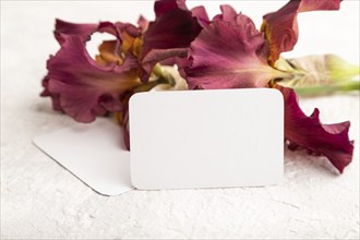 White business card with iris burgundy purple flowers on white concrete background. side view, copy