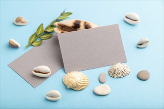 Composition with gray paper business cards, seashells, green boxwood. mockup on blue pastel