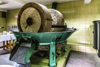 Modern olive oil production, Montenegro, Montenegro, Europe