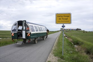 Carriage with tourists on the Hallig Hooge, 24.05.2021