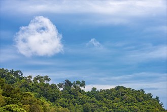 Cloud formations on Ko Rok Yai, cloud, weather, beautiful weather, shape, cloud shape, sky, blue