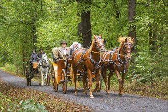 Presentation and route ride, all carriages in stylish tension, popular sporting event over approx.