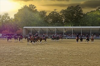 Warendorf State Stud, Stallion Parade, Jacobowski Quadrille