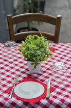 Plain dining table, table, chair, tablecloth, chequered, food, empty, nobody, pub, crisis,