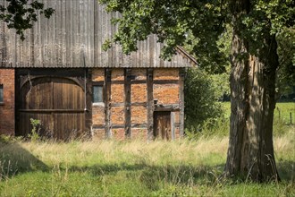 East Westphalian farmhouse, cottage, building, architecture, old, rural, tree, East Westphalia,