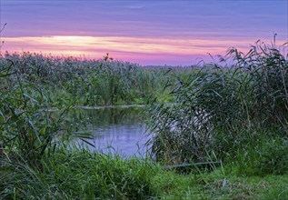 Fishing boat on a branch of the Narew in the Narew National Park in north-east Poland. Waniewo,