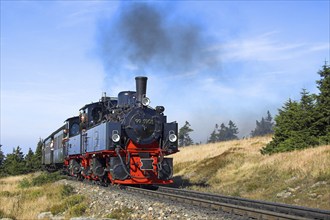 HSB, Harz narrow-gauge railway, locomotive, steam engine, smoke, HSB railway, Brockenbahn, Harz,