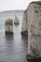 The Pinnacle stack, near Old Harry Rocks, Ballard Point, Dorset, England, United Kingdom, Europe