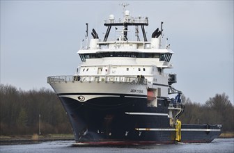 Offshore wind farm supply ship Deep Cygnus in the Kiel Canal, Schleswig-Holstein, Germany, Europe