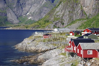 Red rorbu houses on rocks and high, rugged, mountains, holiday, holiday homes Hamnoy, Lofoten,