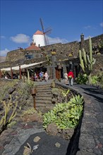 Cactus garden, Jardin de Cactus, designed by the artist César Manrique, behind the restored gofio