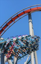 Theme park guests riding Dragon Challenge roller coaster in Wizarding World of Harry Potter at