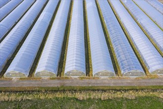 Aerial view over polytunnels, grow tunnels for intensive cultivation of vegetables for season