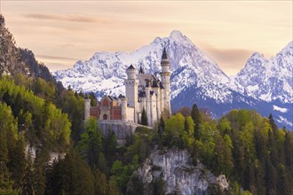 Neuschwanstein Castle near Füssen, evening mood, Schwangau, Allgäu Alps, snow, Ostallgäu, Bavaria,