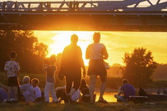 Summer evening at the Blue Wonder on the Elbe, Dresden Loschwitz, Dresden, Saxony, Germany, Europe