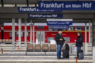 Platforms at Frankfurt am Main Central Station, Hesse, Germany, Europe