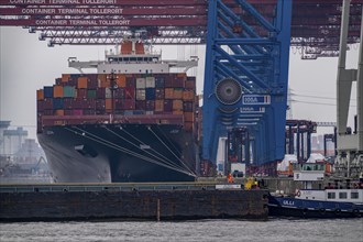 Container terminal Tollerort, container ships are loaded and unloaded, one of 4 container terminals