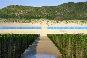 Beach cabins on the North Sea beach near Zoutelande, Zeeland, breakwater at low tide, dunes,