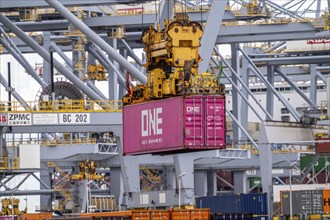 RWG Container Terminal, containers being loaded by crane, seaport of Rotterdam, Maasvlakte 2