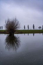 High water on the Rhine at Düsseldorf-Kaiserswerth, foggy weather, riverside paths and Rhine