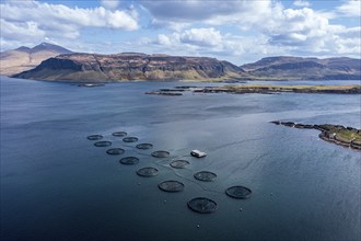 Floating cages of a salmon farm, sea between Isle of Ulva and Isle of Mull, Mt. Ben More (Mull) in