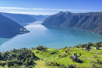 Aerial view of meadows and farms above the Lustrafjord, the inner Sognefjord, Norway, Europe