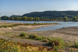 The Rhine at extremely low water, near Bad Honnef Rhöndorf, below the Drachenfels, Nonnenwerth