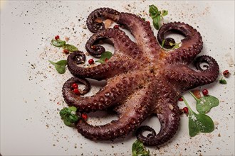 Boiled octopus, close-up, rustic style, no people, top view, close-up