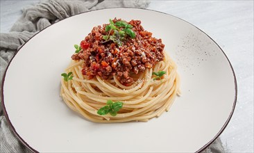 Spaghetti Bolognese, top view, close-up, no people, homemade