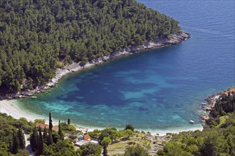 Crystal clear bay with transparent clear water, spring, holiday, Adriatic Sea, Orlandusa, Korucla