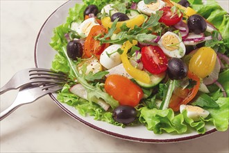 Vegetable salad, with quail eggs and olives, fresh, close-up, no people