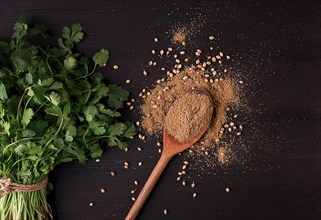 Fresh cilantro, coriander grains and powder, on a wooden table, top view, no people